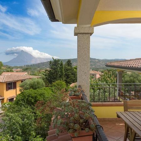 Residence Agrifoglio مونتي بيتروسو المظهر الخارجي الصورة