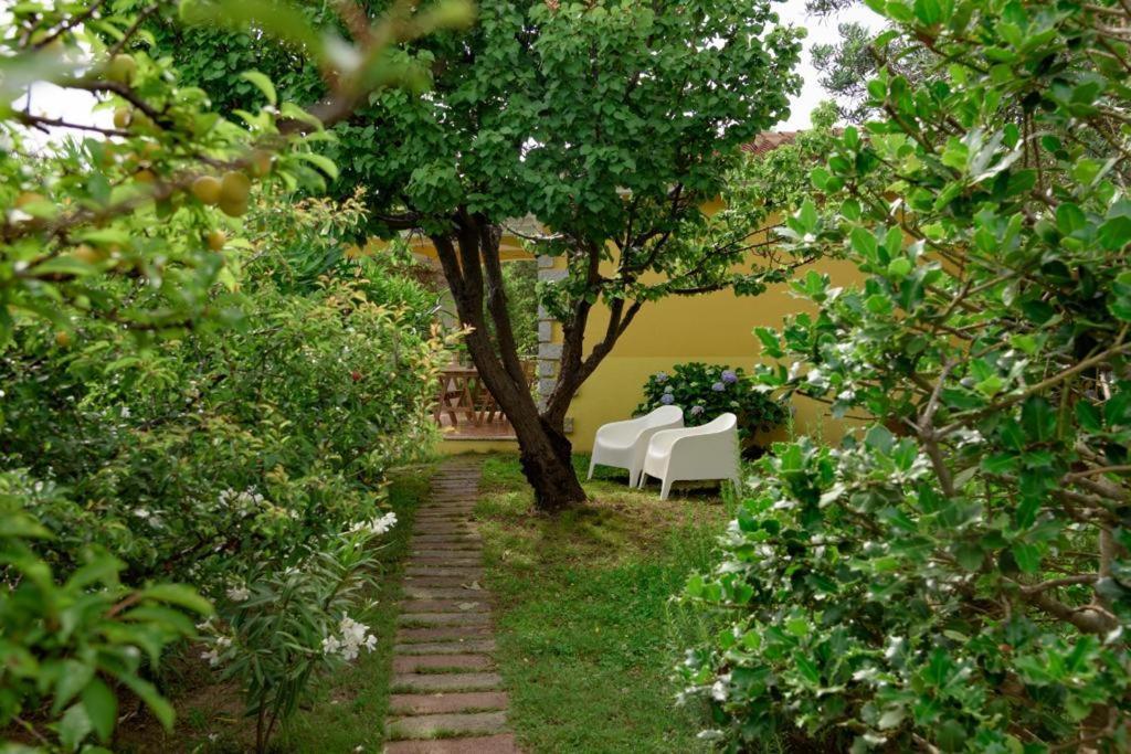 Residence Agrifoglio مونتي بيتروسو المظهر الخارجي الصورة