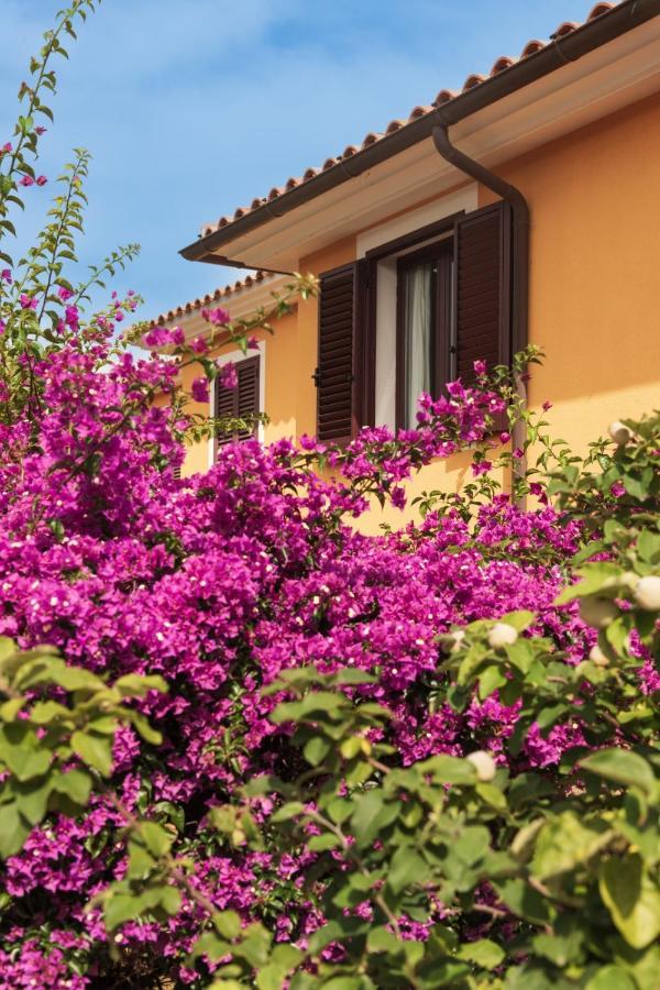 Residence Agrifoglio مونتي بيتروسو المظهر الخارجي الصورة