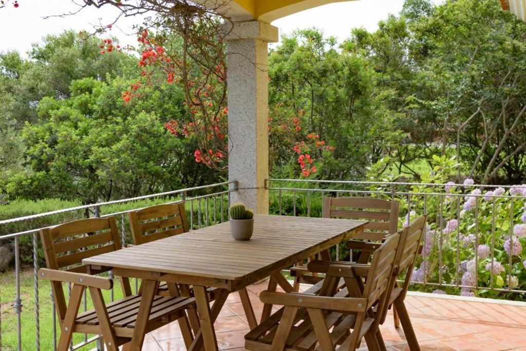 Residence Agrifoglio مونتي بيتروسو المظهر الخارجي الصورة