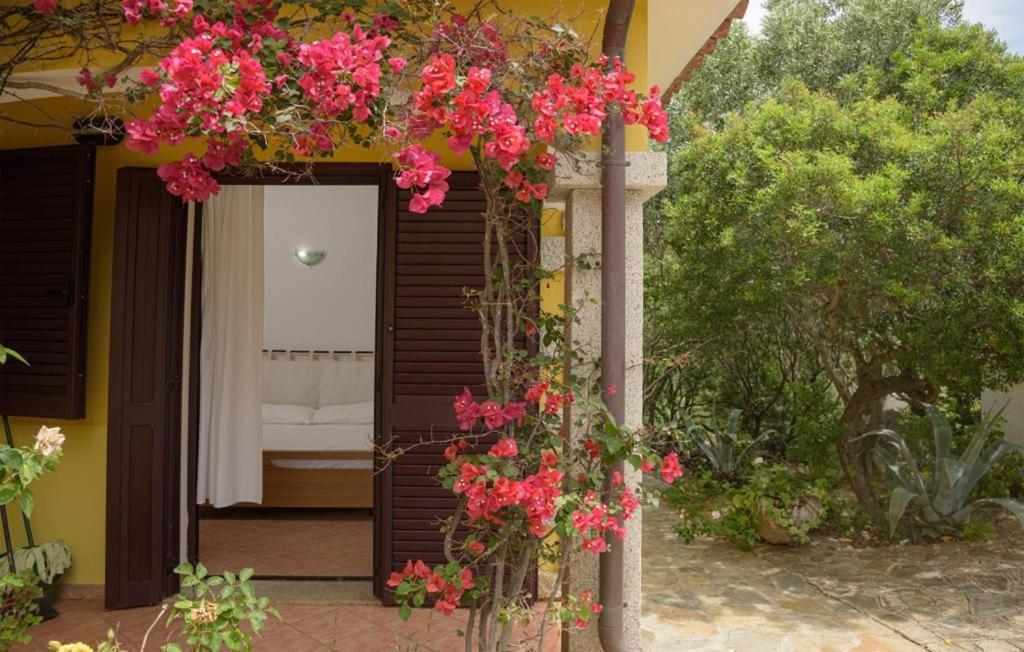 Residence Agrifoglio مونتي بيتروسو المظهر الخارجي الصورة